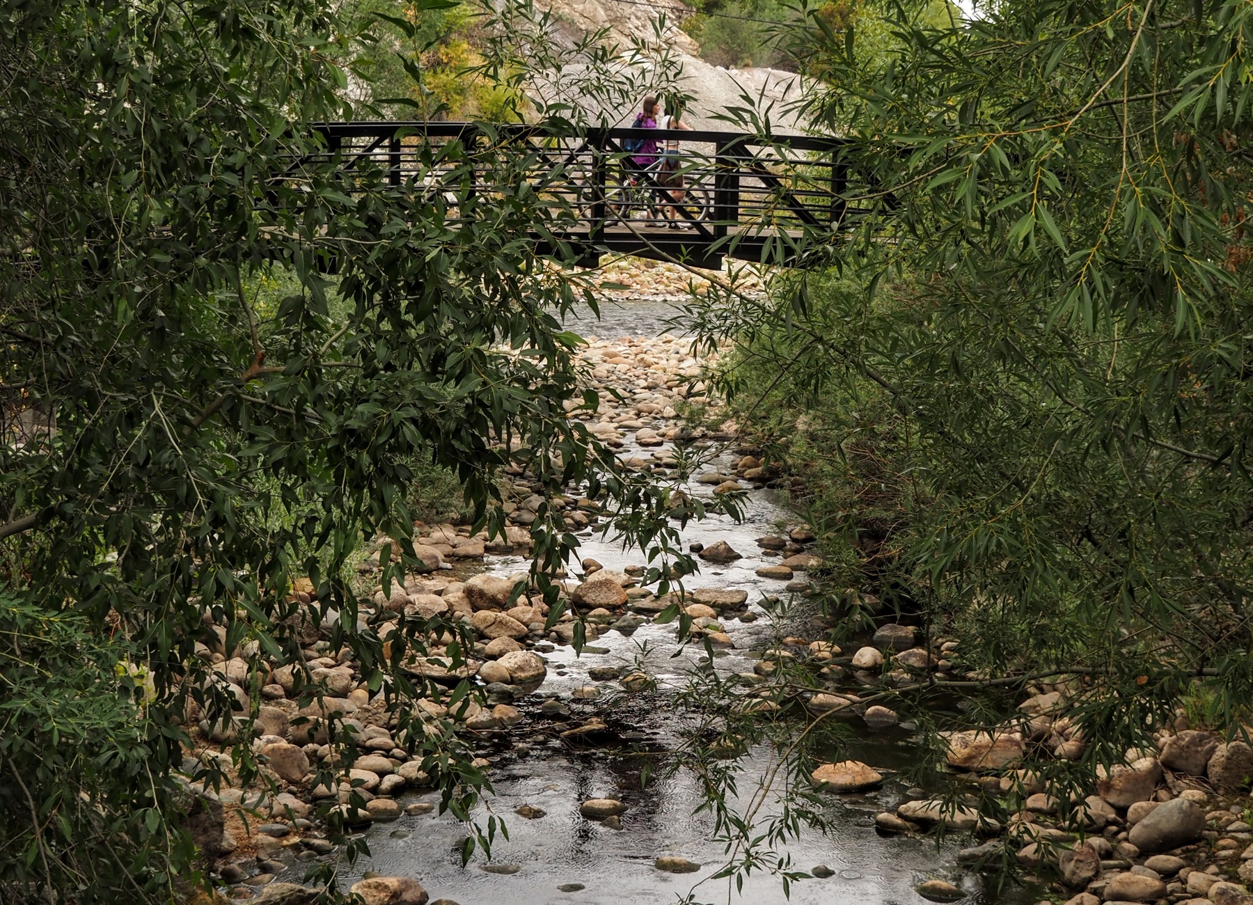 Soda Creek looking toward its Yampa River confluence in Steamboat Springs